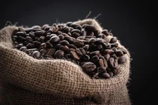 Dominican Jarabacoa Coffee Bean Seeds (25) / DELICIOUS / Easy / RARE