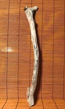 Beautiful 25" DRIFTWOOD Piece Terrarium Taxidermy Aquarium Art Reptile DECOR