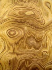 Olive Wurzelholz Holzfurnier Maser SaRaiFo 250x32cm 1 Blatt