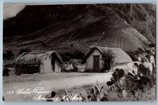 Monterrey NL Mexico Postcard Cactus Nipa House View c1940's Vintage RPPC Photo