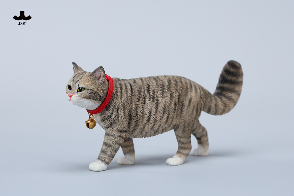 JXK 1/6 Felis Catus Cat 6.0 Model Collections Animal Figure Toys