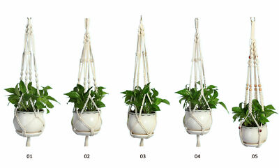 plant food for indoor plants Gardenera Plant Growth Superfood for INDOOR Plants with Essential Vitamins & Minerals - Organic Plant Food Fertilizer main image 1