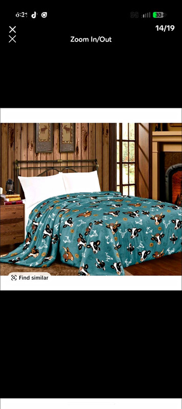 Teal Multicolor Animal Print Blanket, 50 x 60 in Rectangular Adults/Kids