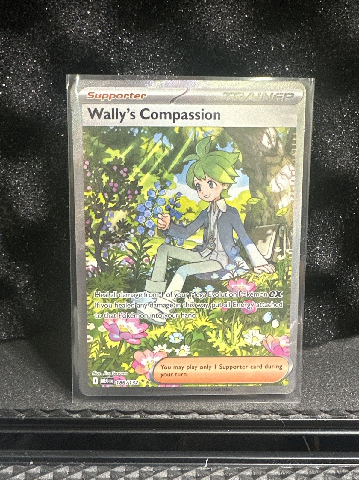 Wally's Compassion - 186/132 - SIR - Mega Evolutions - Pokemon TCG MINT NEW