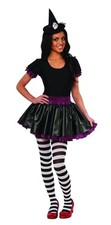 Wizard Of Oz Wicked Witch Of The East Teen Costume