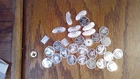 Lot of 31 One 1 Gram .999 Silver Rounds 1 oz Total Weight (004)
