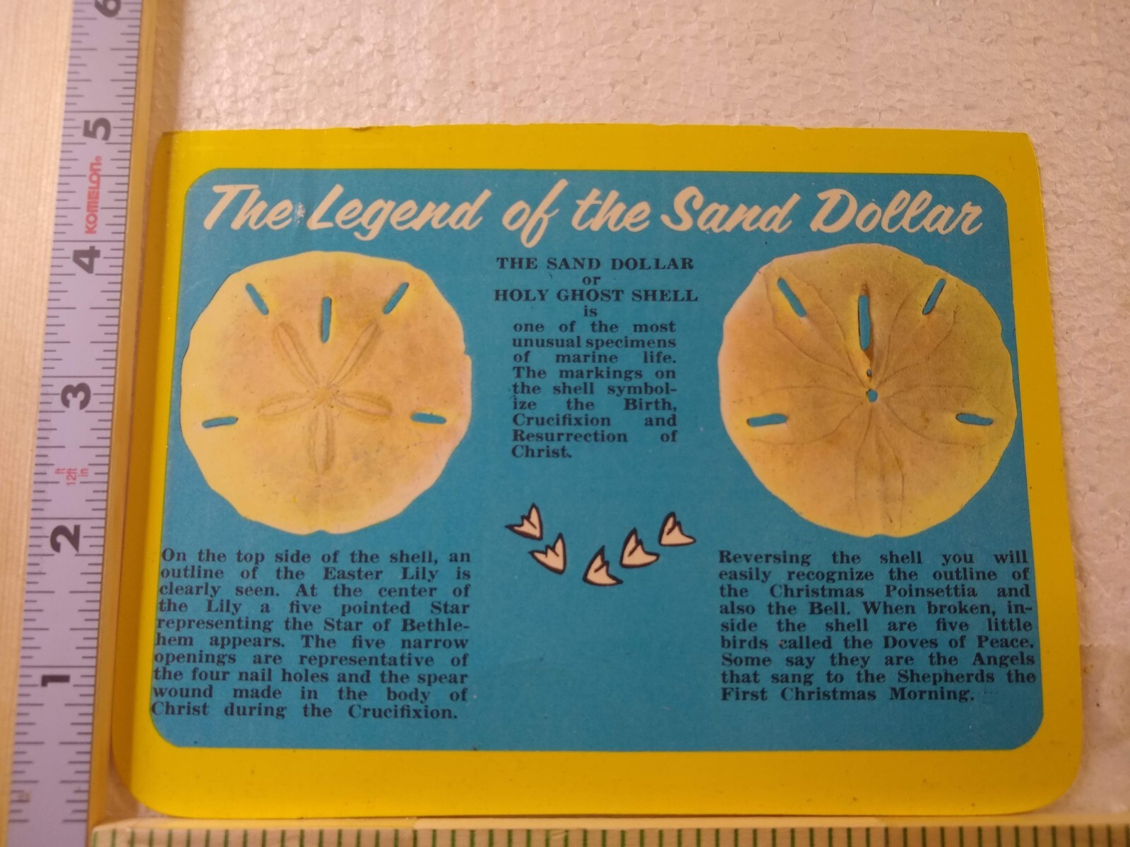 Postcard The Legend of the Sand Dollar eBay