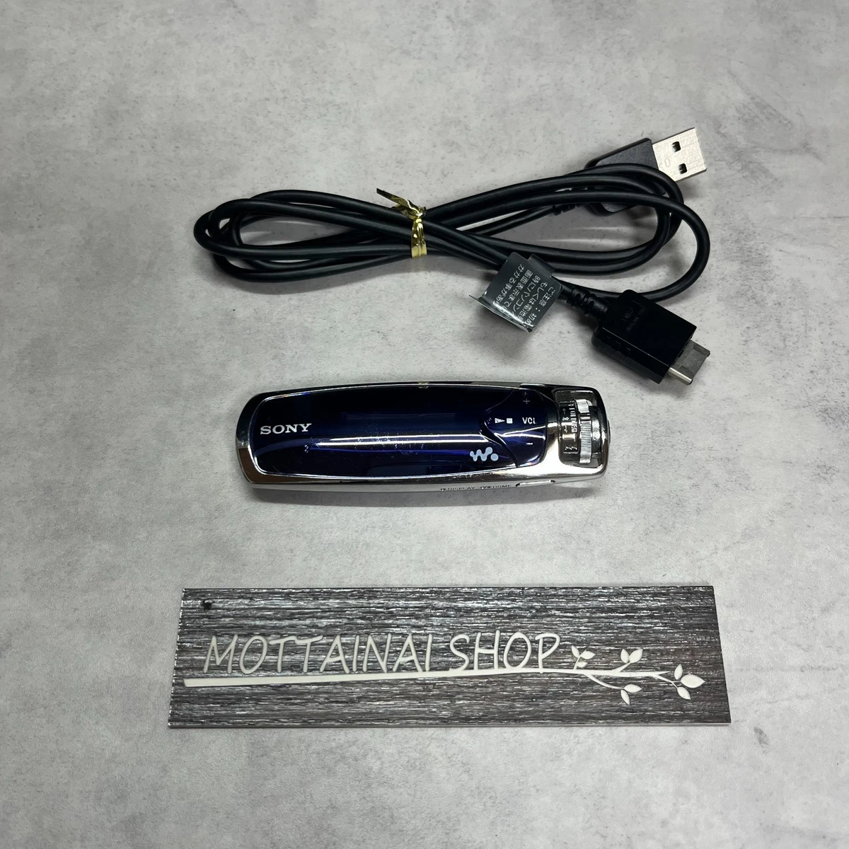 Sony NW-S703F Blue Walkman Lecteur Audio Portable Lecteur MP3 Audio 1Go Occasion