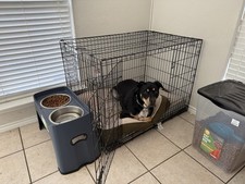 Large Dog Kennel for Medium to Large Double-door 42 Inch