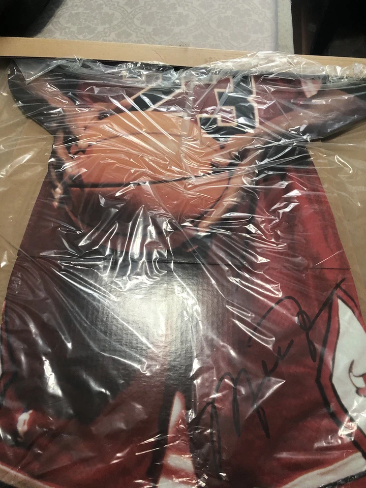 Michael Jordan Life Size Standup Still In Box ! - Image 2 of 2