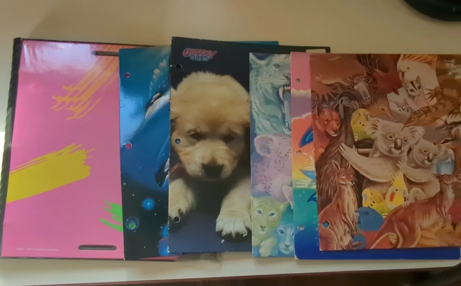 Vintage 90s Mead Trapper Keeper Keepin' and 5 Folders!! eBay