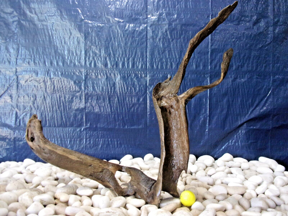 XXLarge Driftwood, Aquarium Loose Wood, Very Low Tannins, Freshwater