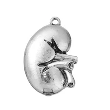 Sexy Sparkles Medical Anatomical 3D Human Kidney Charm Pendant for Necklace,Brac