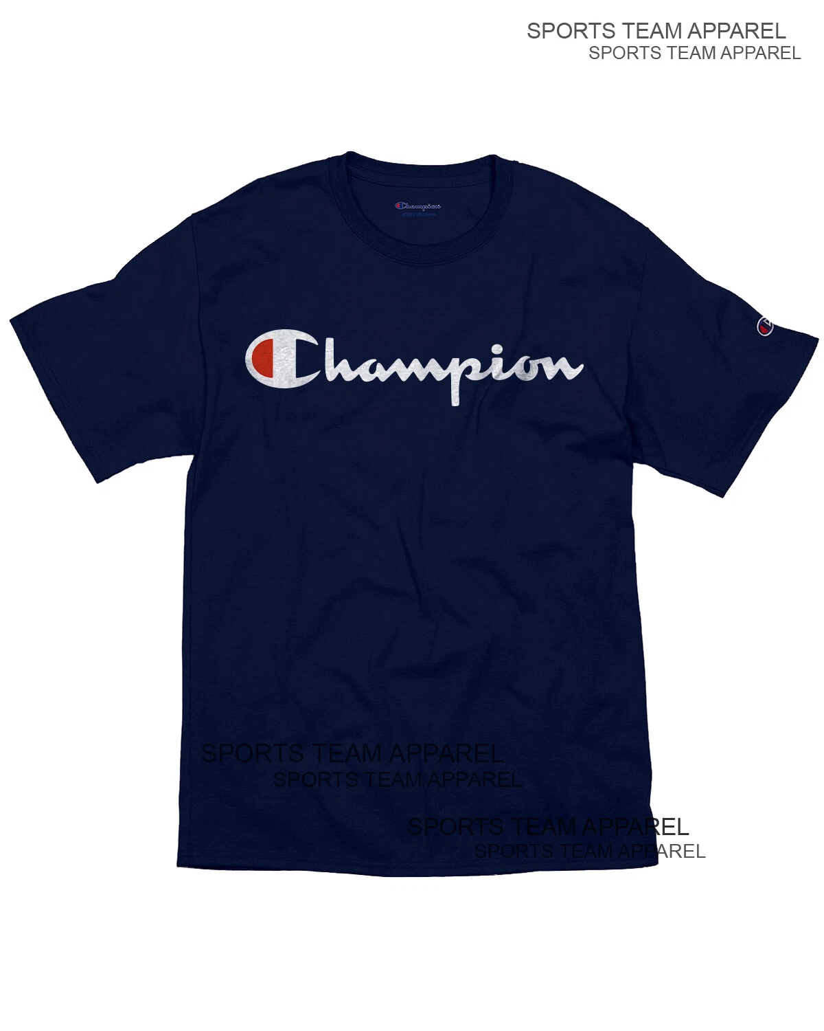 Champion Men's Jersey T-Shirt Classic Fit with Script Logo