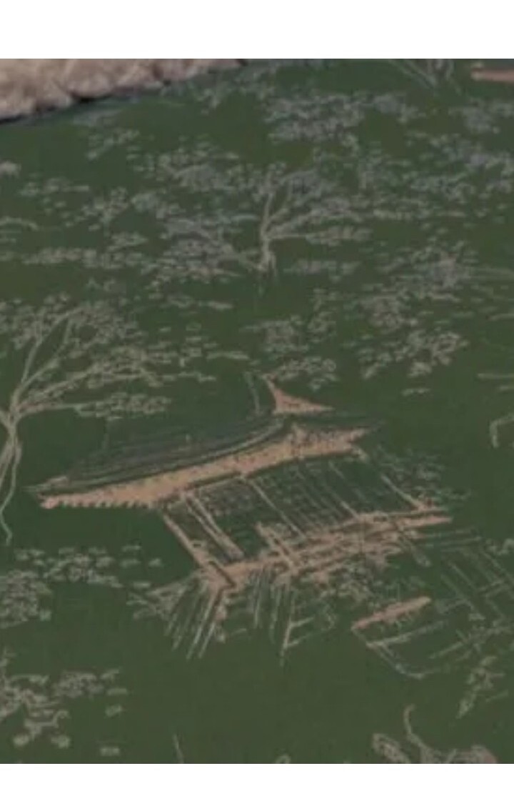 Christy Japanese Maple Luxury Kingsize Duvet Set 200TC rrp £130.00 New