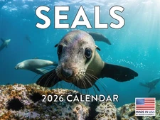 Seal Calendar 2026 Monthly Wall Calender 12 Month Ocean Sea