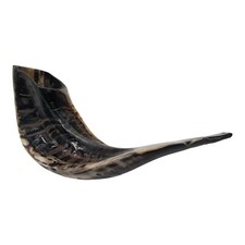 Kosher Shofar : 14"- 16" 35-40cm Ram Horn  Made In Israel From Jerusalem