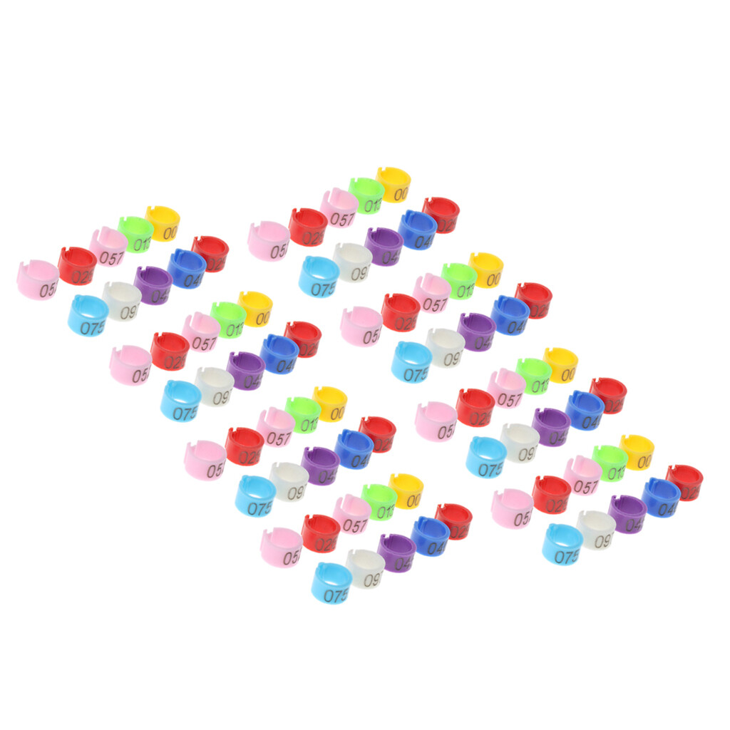 100 Stück Geflügel Fußringe Lila - Nummerierte Kennzeichnung Für Hühner & Enten