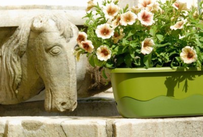 blumenkasten entwsserung Blumenkasten / Balkonkasten mit Wasserspeicher ca. 80 cm aus hochwerti  La  Casa