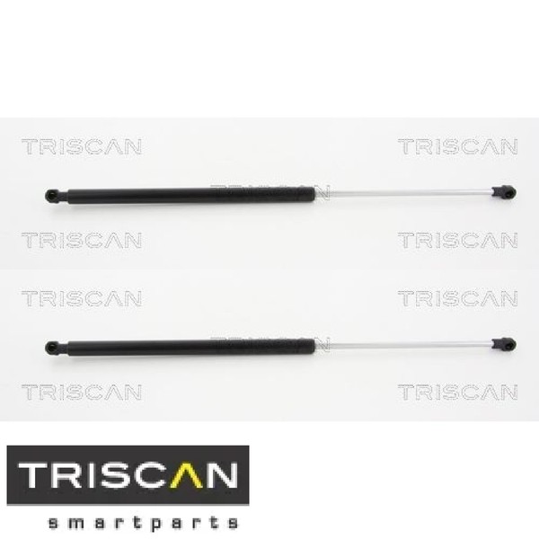2X Gasfeder FüR Koffer-/Laderaum Triscan 871038229 DäMpfer GasdäMpfer-image