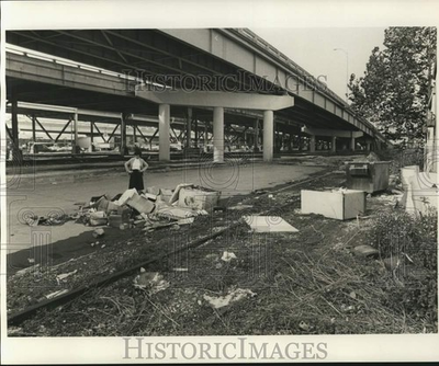 #ad #ad 1977 Press Photo Patricia Warren of New Orleans Clean City Committee at dump $24.99