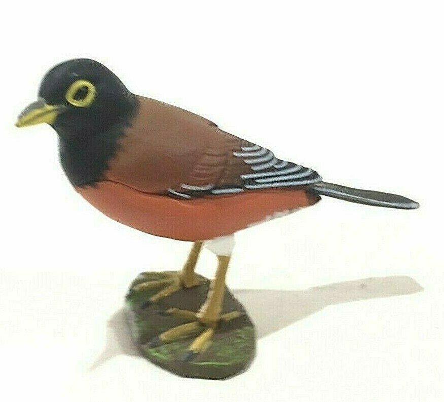 Japan Kaiyodo Choco Q Izu Islands Thrush Bird Miniature Realistic