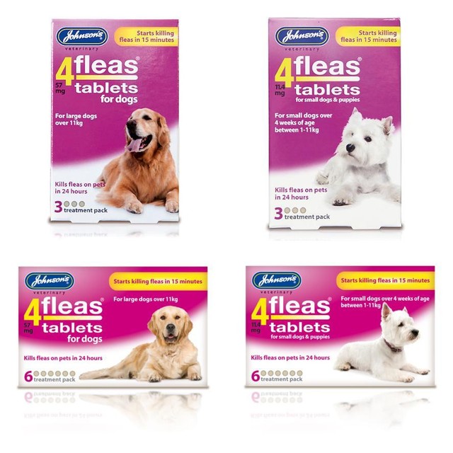best fast acting flea treatment for dogs