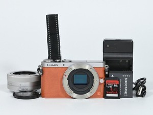 GM 1 Lumix | eBay