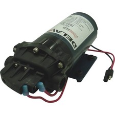 Delavan Pumps, 12v DEMAND STYLE DIAPHRAGM SPRAYER PUMP, Volts 12 Pump Type
