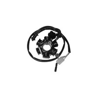 Stator 6 Pole Peugeot Roller 50 2T-CARB. 94/08 Codes Ersatzteile = 163037