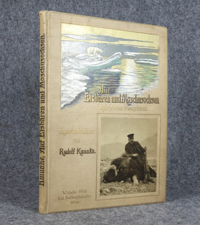 1910 JAGD Grönland EISBÄR Expedition Arktis Walross Robbe Jäger Reise RAR