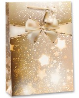 12 GeschenktüTen Weihnachten PapiertüTen WeihnachtstüTen Geschenktaschen Papier