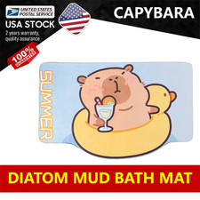 Bath Mat-Bathroom Rug,Absorbent Non Slip 16×24Inch (40*60cm) Cartoon Capibala