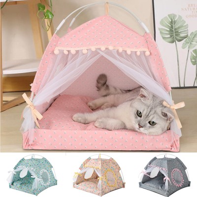 cat privacy tent