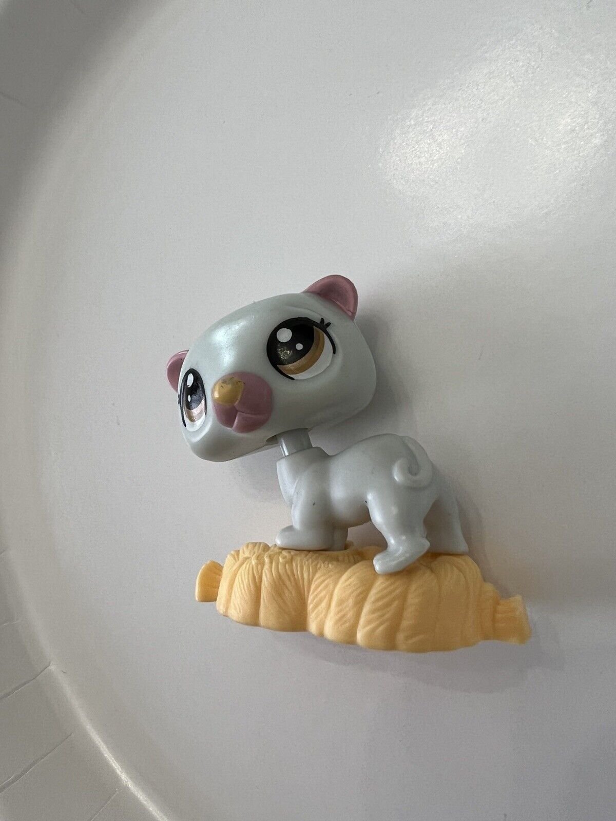 Picture 5 of 10