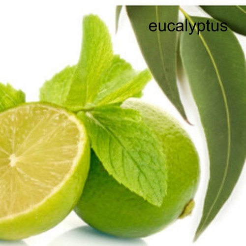 fragrance luxury Oil for Diffuser Aromatherapy Relaxation Burner potpourri 2oz - Picture 18 of 99