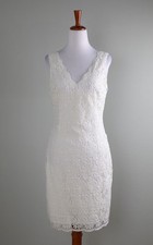 ANN TAYLOR NWT $179 Crochet Lace Lined Sleeveless Sheath Dress Size 4