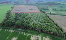 Woodland for sale uk Perfect Christmas present for your kids.