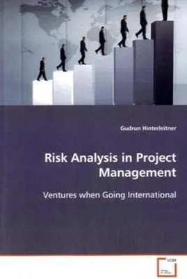 Gudrun Hinterleitner | Risk Analysis in Project Management | Taschenbuch (2013)