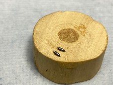 LOT X2 Waltham 77677 pocketwatch Balance Staff 10s/14s Col A FREE SHIPPING w2