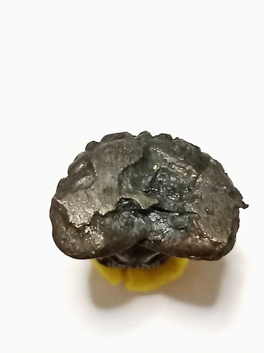 THAI AMULET LP SONG WAT CHAOFAH SALALOY PHRA PIDTA NEW YEAR'S GIFT B.E. 2519 - Picture 4 of 16