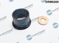 Dr.Motor Automotive DRM0269 Seal Kit, Injector Nozzle For CitroËN Peugeot