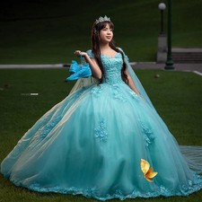 Princess Appliques Quinceanera Dresses 15 Ans Sleeveless Lacing Up Floor Length