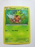 Pokémon TCG Chespin XY XY88 Holo Black Star Promo