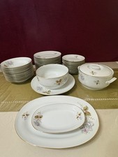 Servizio Piatti Richard Ginori - Porcellana Finissima con Decoro Floreale e Oro 