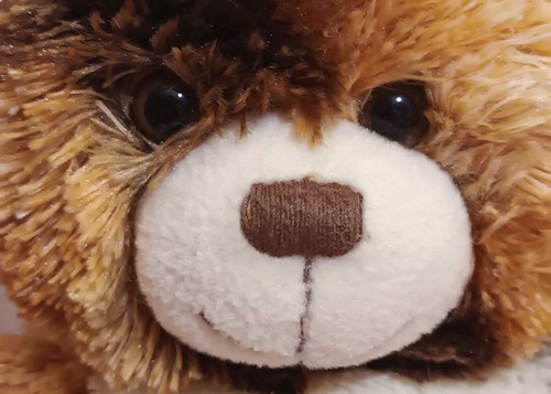 Build-A-Bear Brown Calico Champ Bear 2011 - Picture 2 of 4