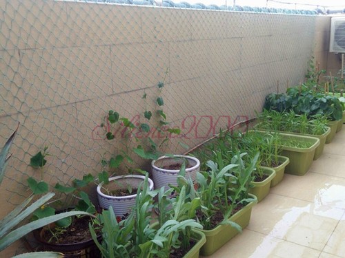 Nuova Rete Traliccio Plastica Verde Supporto Piante Decorazione Giardino Rete Nautica - Foto 2 di 6