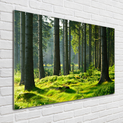 Glas-Bild Wandbilder Druck auf Glas 100x70 Deko Landschaften Fichtenwald