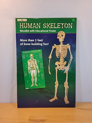 Vintage Safari LTD Human Skeleton Wood Kit with Educational Poster Puzzle Build