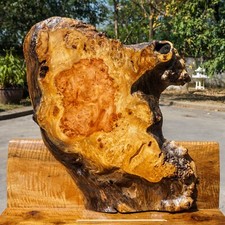 Gold AMBOYNA BURL LUMBER Live Edge Table Top Natural Slab Wood DIY Resin Epoxy